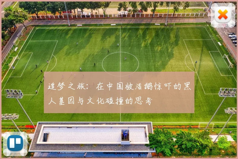 追梦之旅：在中国被活鹅惊吓的黑人基因与文化碰撞的思考
